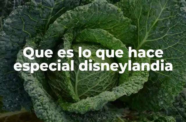 Que es Lo que Hace Especial Disneylandia