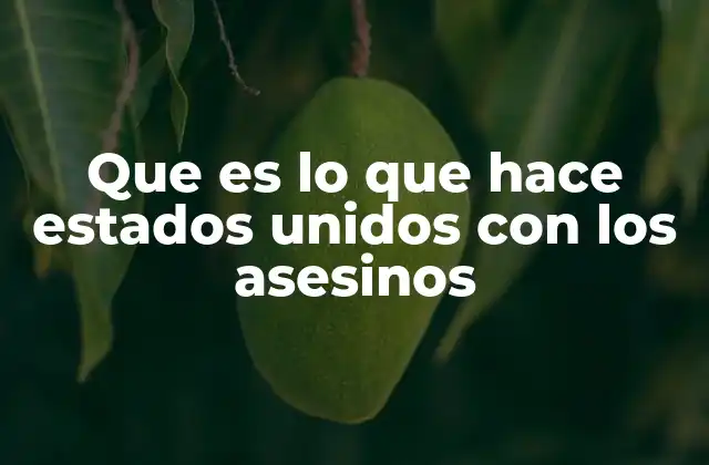 Que es Lo que Hace Estados Unidos con los Asesinos 2 Cómo el sistema judicial maneja casos de homicidio