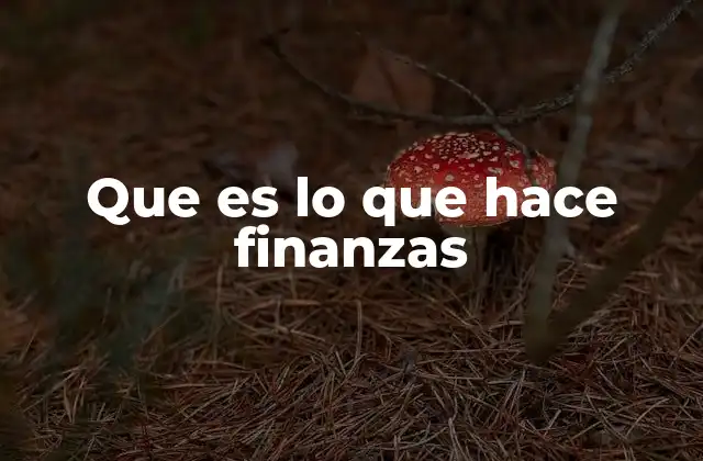 Que es Lo que Hace Finanzas