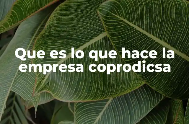 Que es Lo que Hace la Empresa Coprodicsa