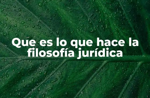 Que es Lo que Hace la Filosofía Jurídica