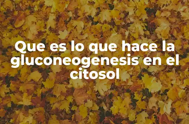 Que es Lo que Hace la Gluconeogenesis en el Citosol