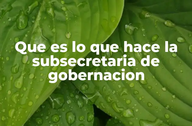 Que es Lo que Hace la Subsecretaria de Gobernacion 2 La importancia de la gobernanza en el desarrollo nacional