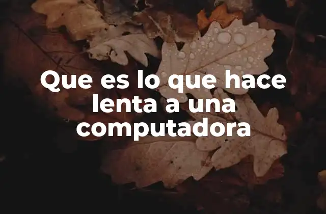 Que es Lo que Hace Lenta a una Computadora