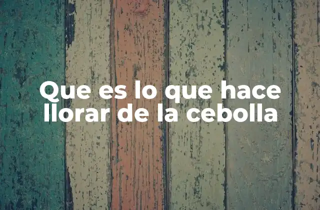 Que es Lo que Hace Llorar de la Cebolla