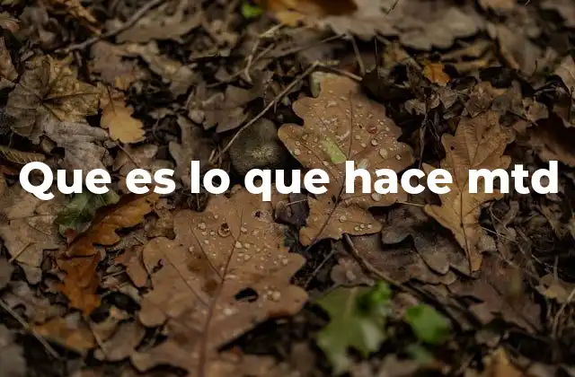 Que es Lo que Hace Mtd