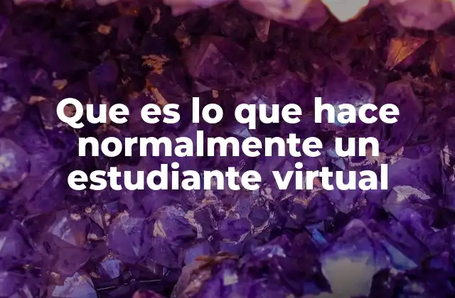 Cómo se organiza un estudiante virtual
