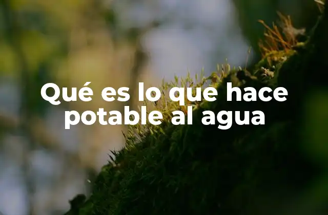 Qué es Lo que Hace Potable Al Agua