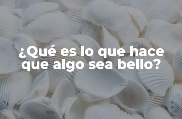 ¿qué es Lo que Hace que Algo Sea Bello?