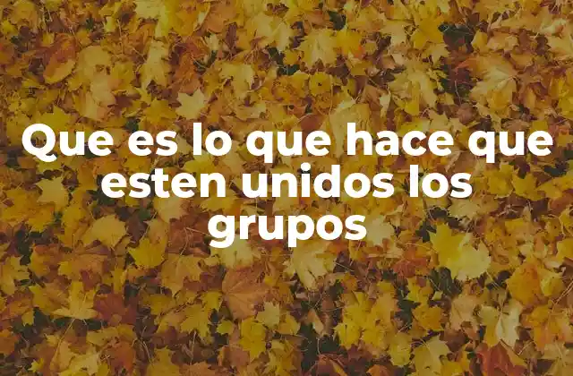 Que es Lo que Hace que Esten Unidos los Grupos 2 Los fundamentos psicológicos de la unión grupal