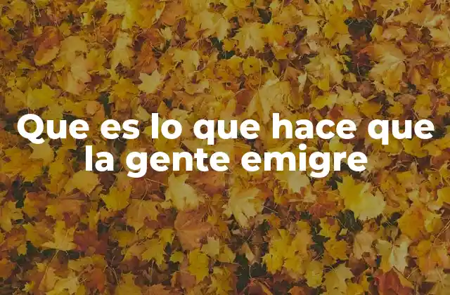 Que es Lo que Hace que la Gente Emigre 2 Las causas estructurales de la movilidad humana internacional