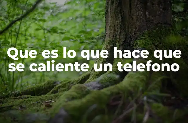 Cómo el funcionamiento interno del dispositivo influye en su temperatura