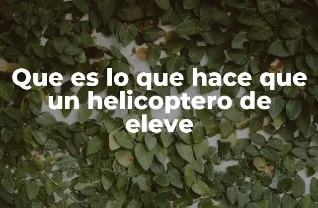 Que es Lo que Hace que un Helicoptero de Eleve