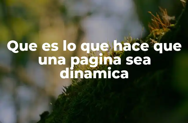 Que es Lo que Hace que una Pagina Sea Dinamica
