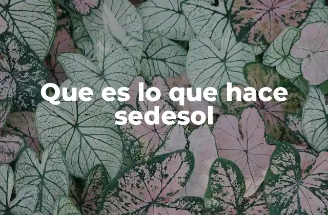 El impacto de Sedesol en la sociedad mexicana