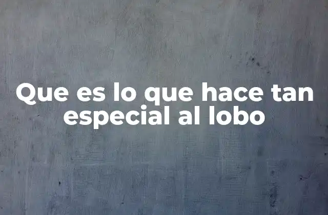 Que es Lo que Hace Tan Especial Al Lobo