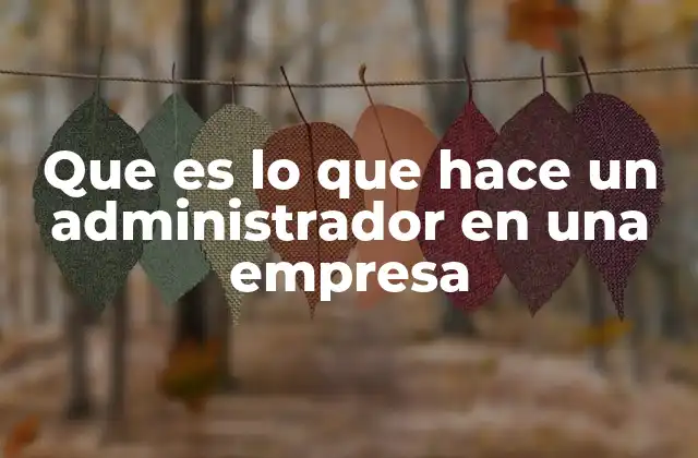 Que es Lo que Hace un Administrador en una Empresa