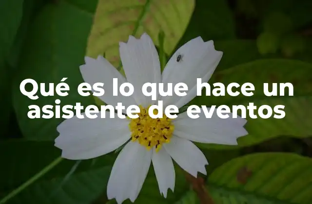 Qué es Lo que Hace un Asistente de Eventos