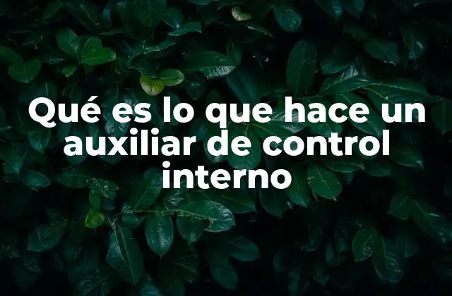 Qué es Lo que Hace un Auxiliar de Control Interno
