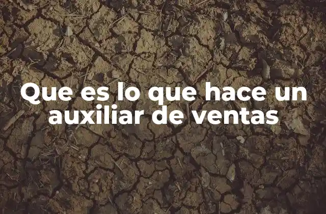 Que es Lo que Hace un Auxiliar de Ventas