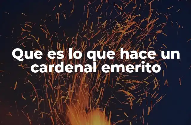Que es Lo que Hace un Cardenal Emerito