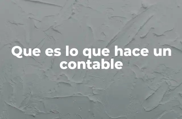Que es Lo que Hace un Contable