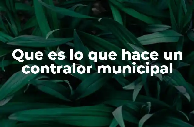 Que es Lo que Hace un Contralor Municipal