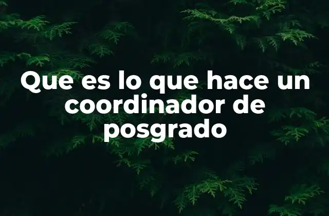 Que es Lo que Hace un Coordinador de Posgrado 2 El papel del coordinador en la gestión académica