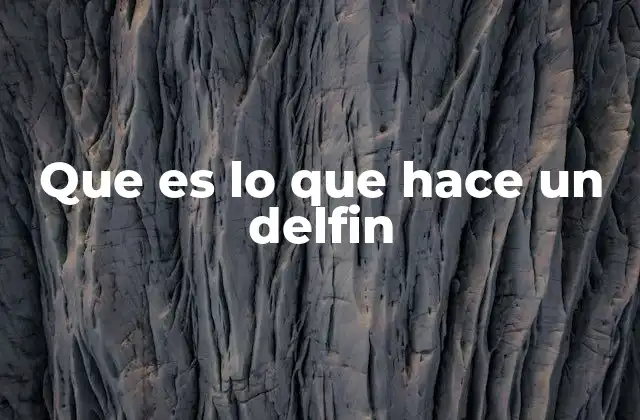 Que es Lo que Hace un Delfin