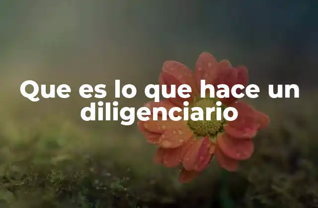 Que es Lo que Hace un Diligenciario