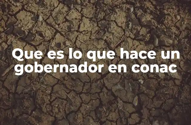 El papel del gobernador en la gobernanza educativa federal