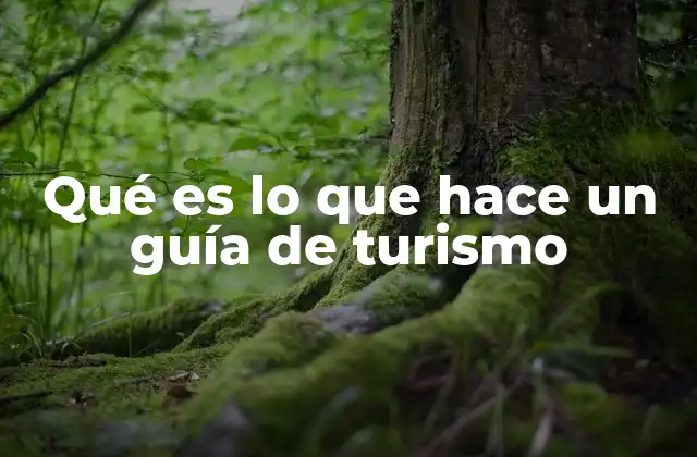 Qué es Lo que Hace un Guía de Turismo