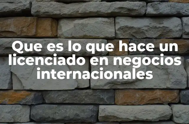 Que es Lo que Hace un Licenciado en Negocios Internacionales