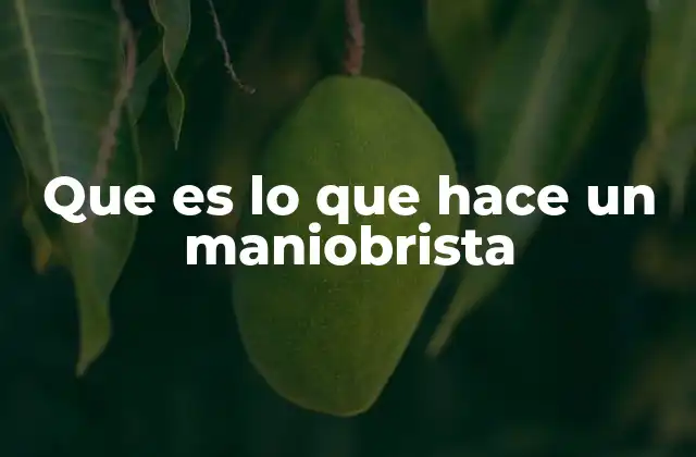 Que es Lo que Hace un Maniobrista