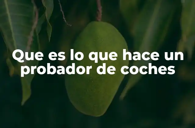 Que es Lo que Hace un Probador de Coches