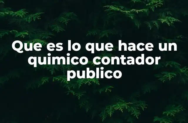 Que es Lo que Hace un Quimico Contador Publico