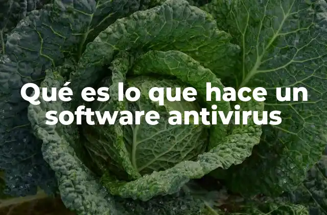 La importancia de la protección en sistemas digitales