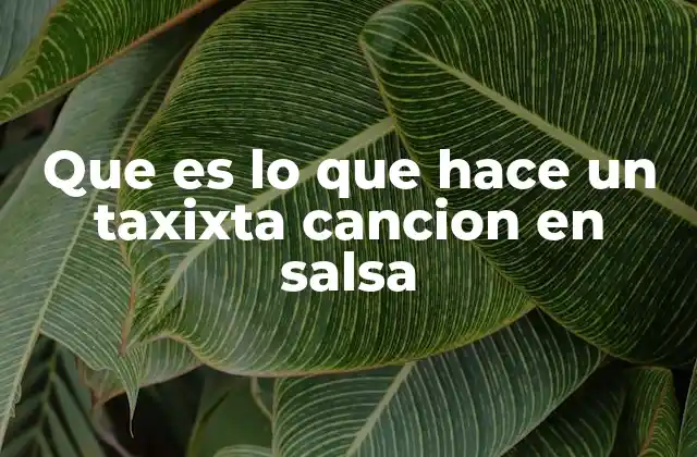 Que es Lo que Hace un Taxixta Cancion en Salsa