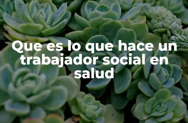 Que es Lo que Hace un Trabajador Social en Salud