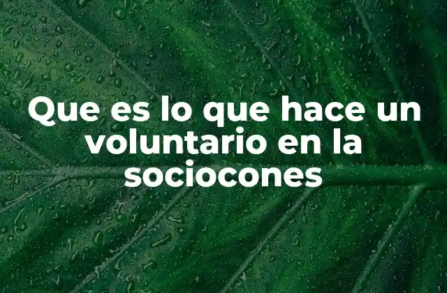 Que es Lo que Hace un Voluntario en la Sociocones