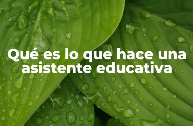 El apoyo invisible detrás del aula