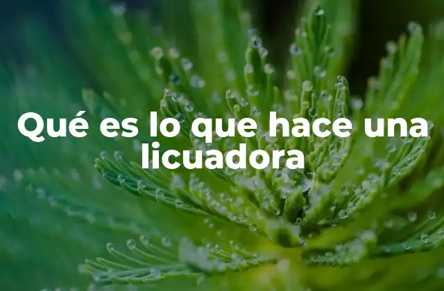 Qué es Lo que Hace una Licuadora