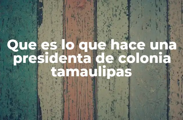 Que es Lo que Hace una Presidenta de Colonia Tamaulipas