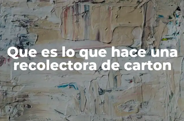 Que es Lo que Hace una Recolectora de Carton