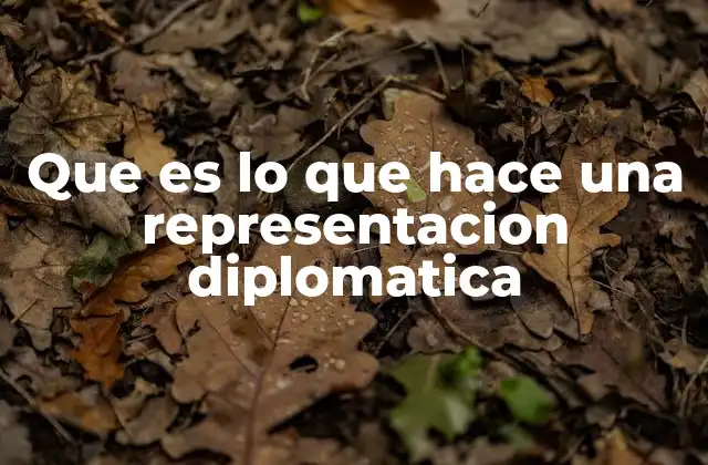Que es Lo que Hace una Representacion Diplomatica