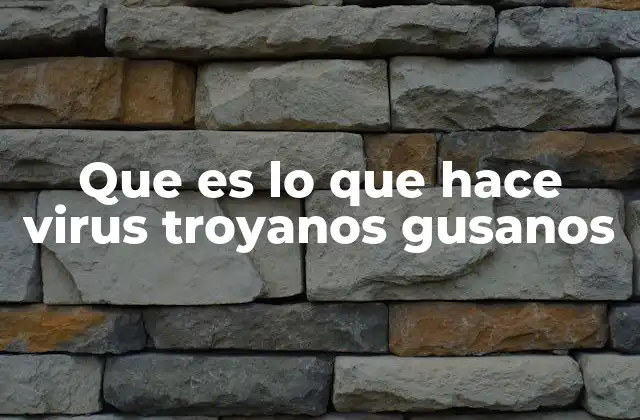 Que es Lo que Hace Virus Troyanos Gusanos