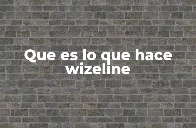 Que es Lo que Hace Wizeline 2 Cómo se diferencia Wizeline en el mercado tecnológico