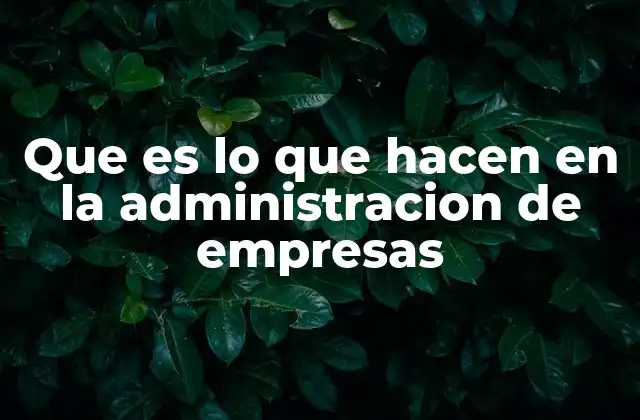 Que es Lo que Hacen en la Administracion de Empresas