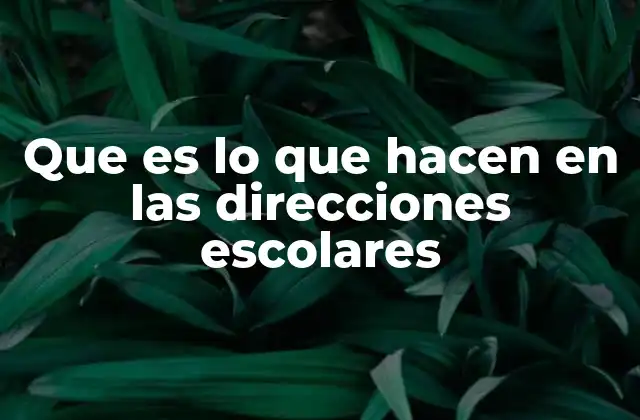 La importancia de un liderazgo efectivo en la gestión escolar