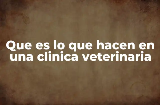 Que es Lo que Hacen en una Clinica Veterinaria